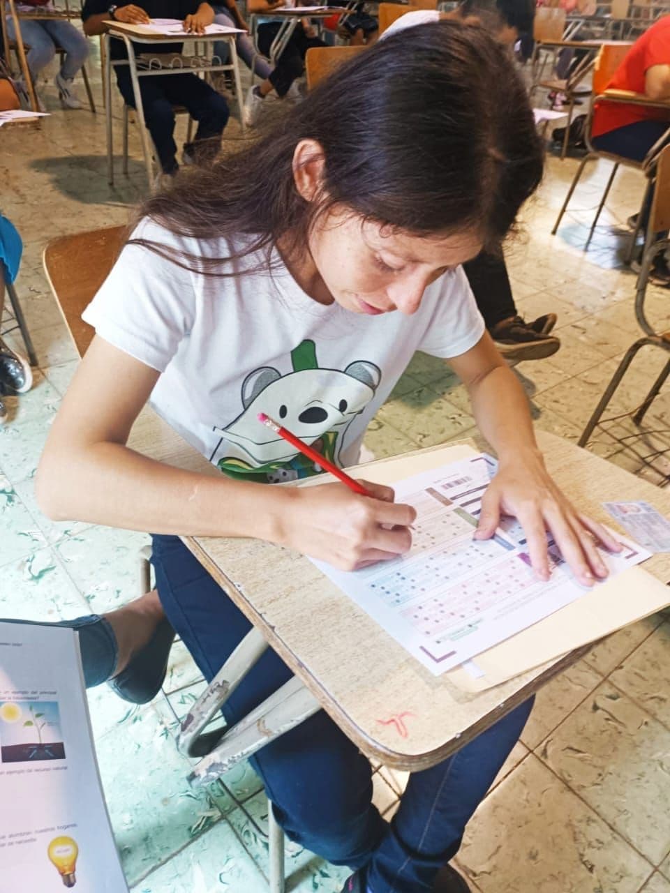 PUENTES PARA LA INCLUSION